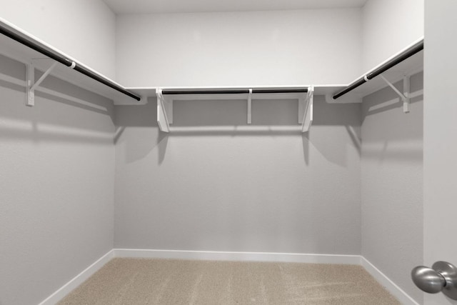 208 Lazy Lizzy Rd, Jarrell, TX 76537 - walk in closet with carpet flooring
