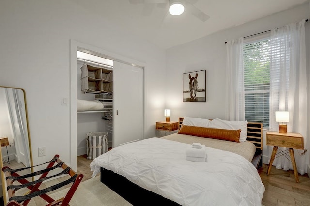 bedroom with a walk in closet, a ceiling fan, light wood-style floors, and a closet