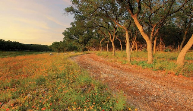 22200 Cross Timber Bnd, Lago Vista, TX 78645 - view of road