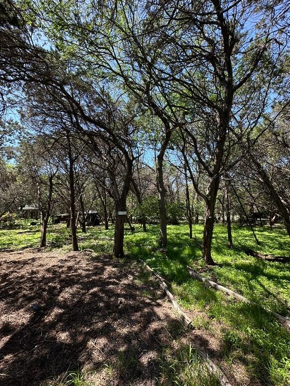 view of local wilderness