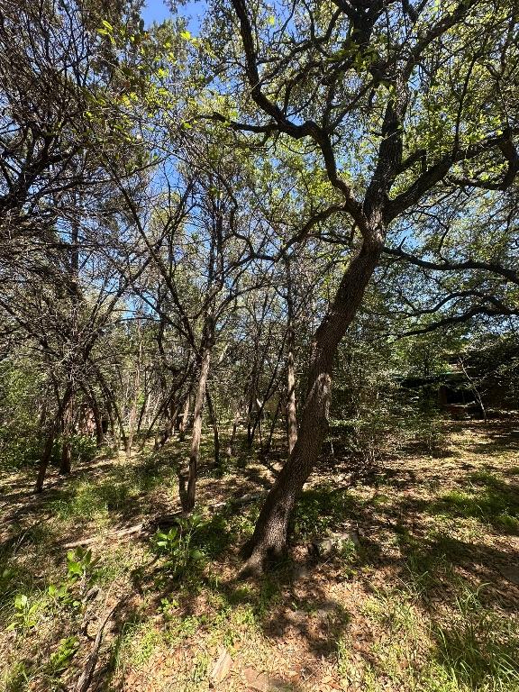 view of local wilderness