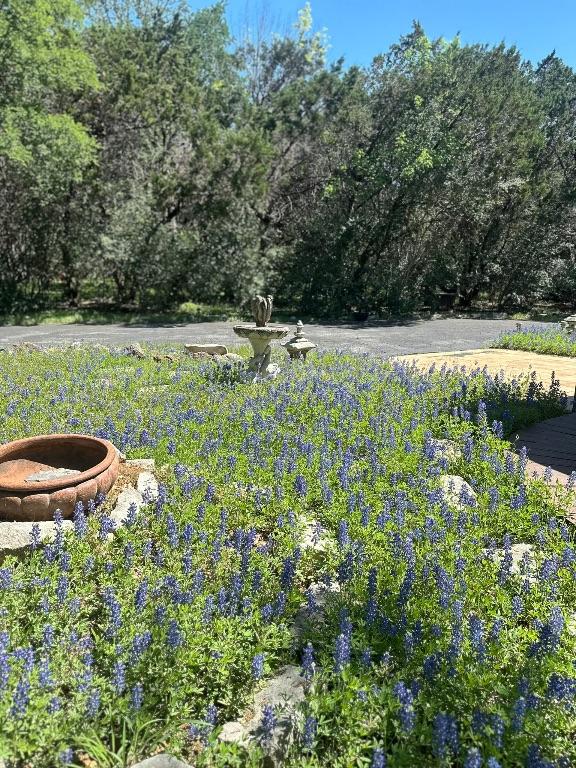 3707 Wyldwood Rd, Austin, TX 78739 - photo 34