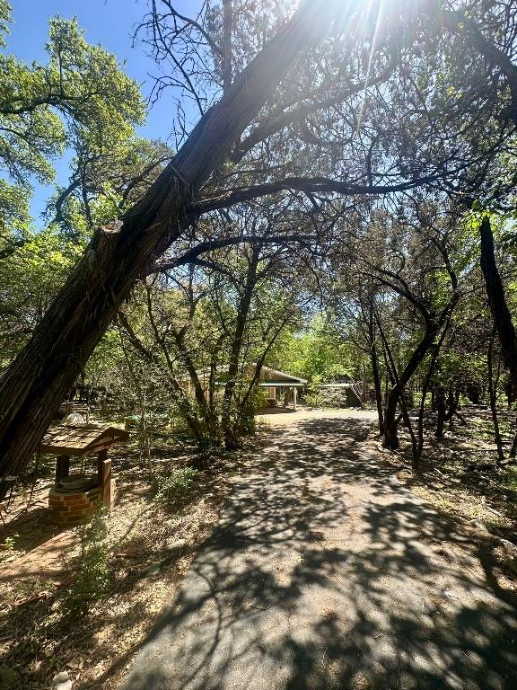 3707 Wyldwood Rd, Austin, TX 78739 - photo 3