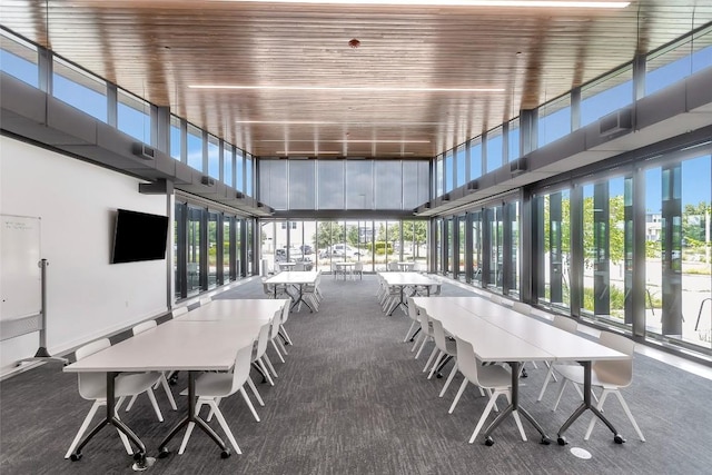 interior space featuring a wealth of natural light