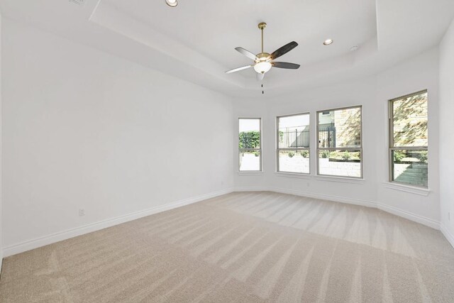 905 Crestone Stream Dr, Austin, TX 78738 - unfurnished room featuring a raised ceiling, light colored carpet, healthy amount of natural light, and recessed lighting