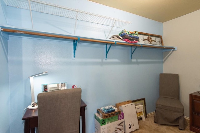 114 Mossy Rock Cv, Hutto, TX 78634 - spacious closet with carpet