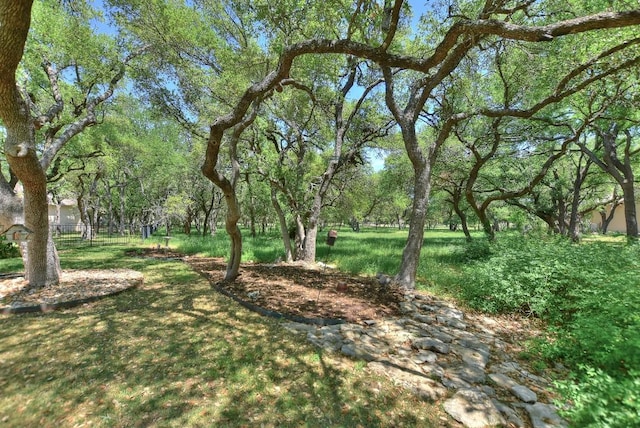 229 Whispering Wind Dr, Georgetown, TX 78633 - view of yard