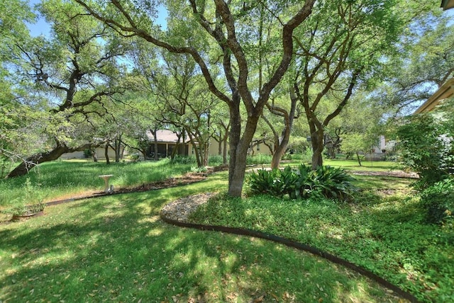 229 Whispering Wind Dr, Georgetown, TX 78633 - photo 30