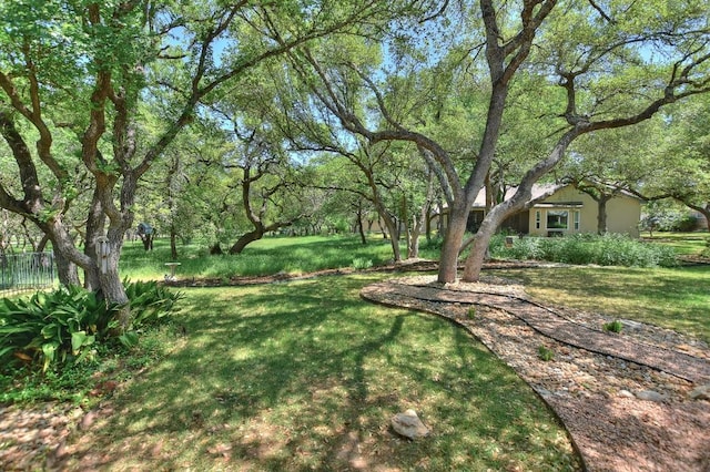 229 Whispering Wind Dr, Georgetown, TX 78633 - photo 3