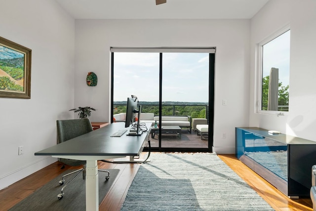 2004 Westridge Dr, Austin, TX 78704 - photo 23