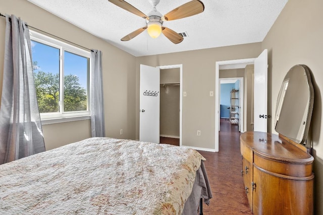 2814 Buckeye Trl, Cedar Park, TX 78613 - bedroom featuring baseboards, a textured ceiling, dark wood-type flooring, ceiling fan, and a walk in closet