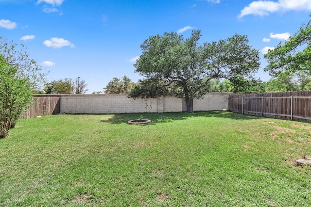 2814 Buckeye Trl, Cedar Park, TX 78613 - view of yard