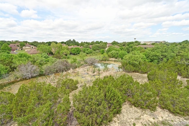 2050 Lohmans Spur Rd Unit 1302, Lakeway, TX 78734 - view of nature