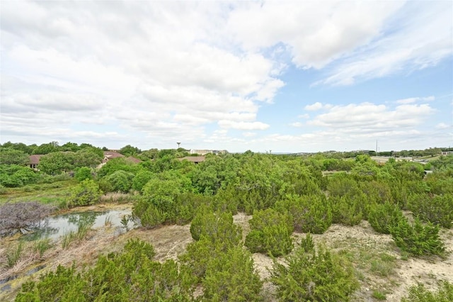 2050 Lohmans Spur Rd Unit 1302, Lakeway, TX 78734 - view of local wilderness