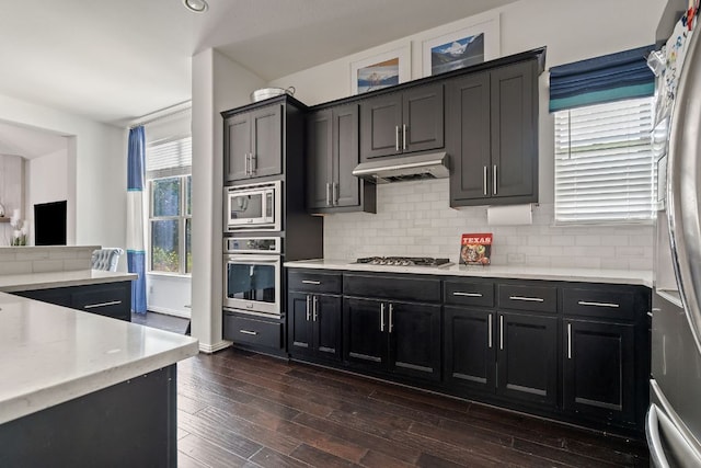 3905 Veneto Cir, Leander, TX 78641 - kitchen with appliances with stainless steel finishes, under cabinet range hood, decorative backsplash, dark cabinetry, and dark wood-type flooring