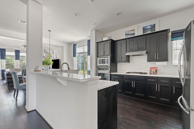 3905 Veneto Cir, Leander, TX 78641 - kitchen with appliances with stainless steel finishes, under cabinet range hood, decorative backsplash, dark wood-style floors, and a ceiling fan