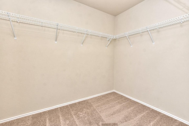 2625 Summerwalk Pl, Round Rock, TX 78665 - walk in closet featuring carpet