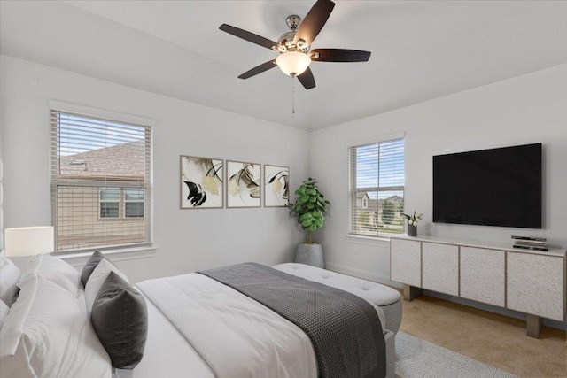 528 Compania Cv, Liberty Hill, TX 78642 - photo 18