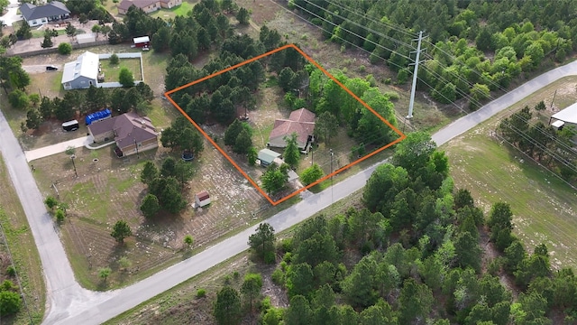 316 County Rd, Bastrop, TX 78602 - aerial view of property's location with property boundaries highlighted