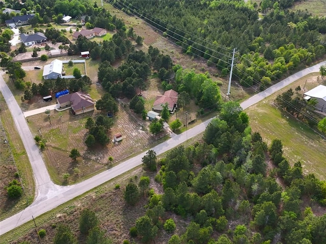 316 County Rd, Bastrop, TX 78602 - aerial view of property's location