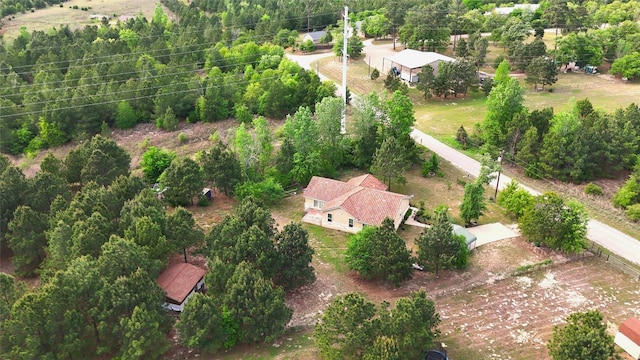 316 County Rd, Bastrop, TX 78602 - aerial view of property and surrounding area