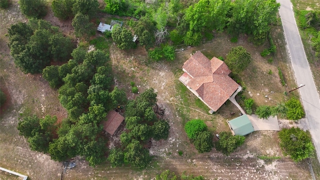 316 County Rd, Bastrop, TX 78602 - view of subject property