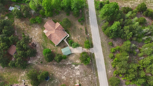 316 County Rd, Bastrop, TX 78602 - aerial view of property and surrounding area