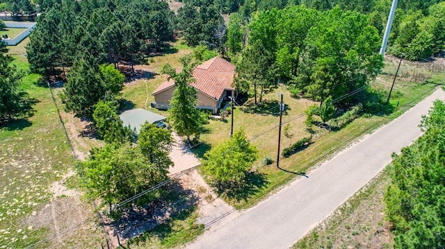 316 County Rd, Bastrop, TX 78602 - view from above of property