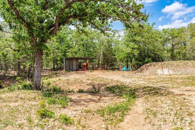 view of yard featuring a detached carport and an outbuilding