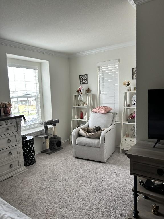 carpeted living room with crown molding