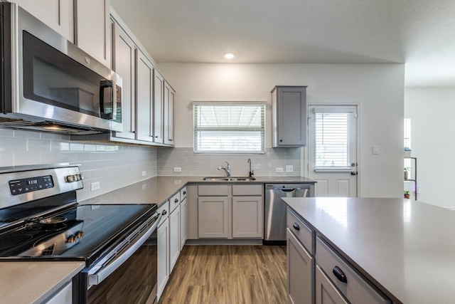 532 Greatest Gift Way, Jarrell, TX 76537 - kitchen featuring appliances with stainless steel finishes, a sink, gray cabinets, light wood-style floors, and healthy amount of natural light