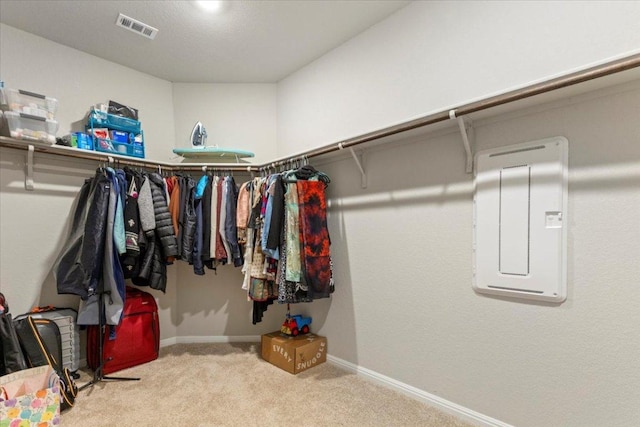 609 Bluffview Dr, Bastrop, TX 78602 - spacious closet featuring carpet and electric panel
