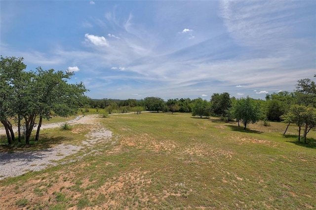 view of local wilderness featuring a rural view