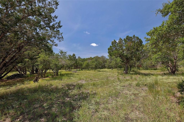 view of nature with a wooded view