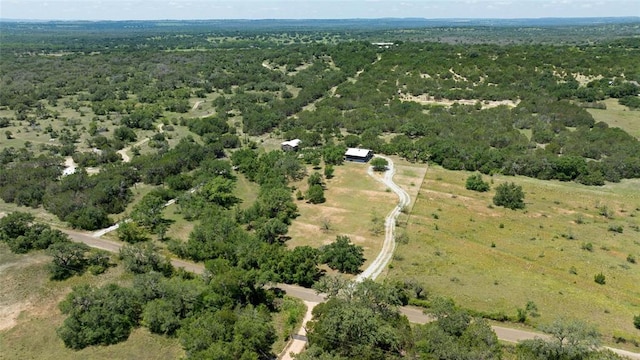 aerial view with a view of trees