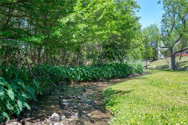 15 Chandon Ln, Lakeway, TX 78734 - view of grassy yard