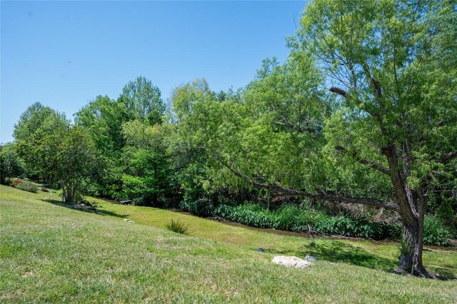 15 Chandon Ln, Lakeway, TX 78734 - view of green lawn