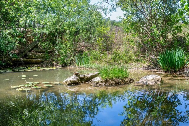 15 Chandon Ln, Lakeway, TX 78734 - water view