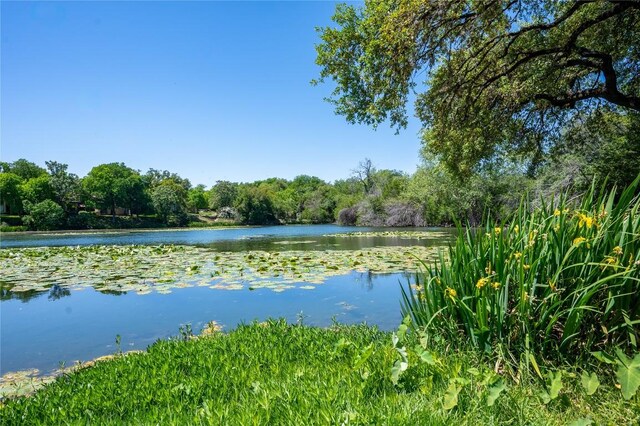 15 Chandon Ln, Lakeway, TX 78734 - water view with a heavily wooded area