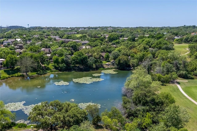 15 Chandon Ln, Lakeway, TX 78734 - bird's eye view of a large body of water