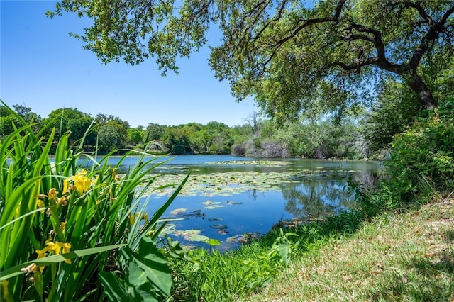 15 Chandon Ln, Lakeway, TX 78734 - water view with a forest