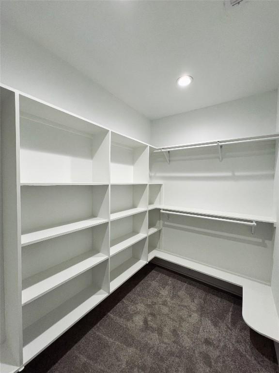 spacious closet with dark carpet