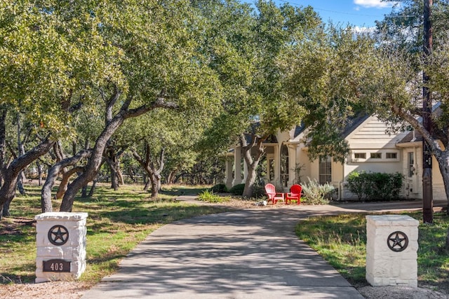403 Stirrup Dr, Dripping Springs, TX 78620 - photo 3