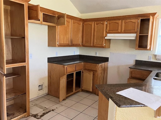 kitchen featuring lofted ceiling, brown cabinetry, under cabinet range hood, and dark countertops