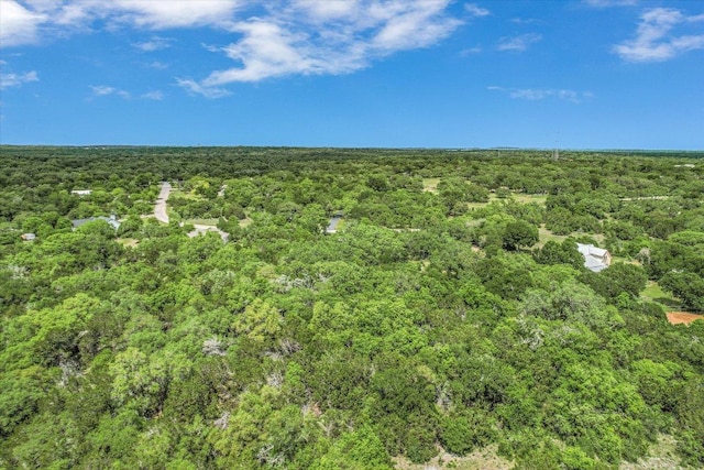 TBD September Song Dr, Manchaca, TX 78652 - photo 6