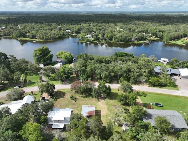 417 Big Bow, Smithville, TX 78957 - aerial view with a view of trees and a water view
