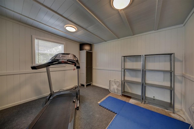 417 Big Bow, Smithville, TX 78957 - exercise room featuring carpet floors