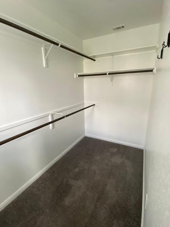 265 Spanish Star Trl, Dripping Springs, TX 78620 - spacious closet with dark colored carpet