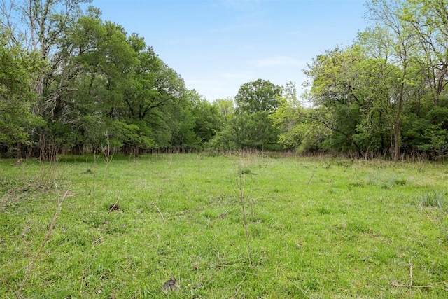 TBD(+/-25Acres) County Road 433, Dime Box, TX 77853