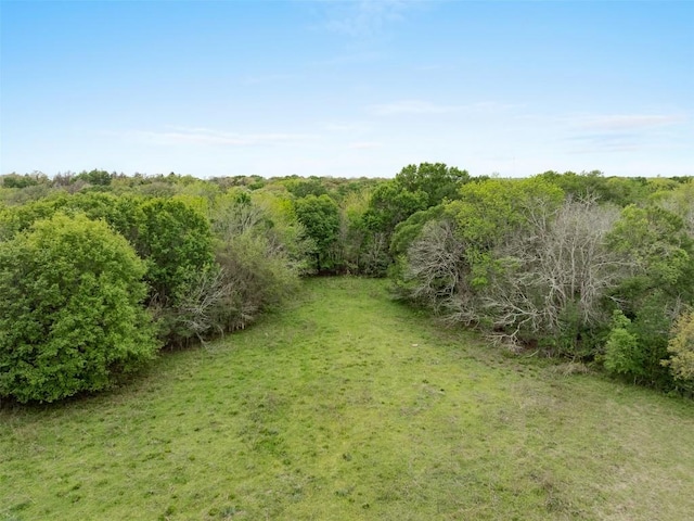 TBD(+/-25Acres) County Road 433, Dime Box, TX 77853